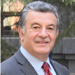Prof. Ali Shams El Din
